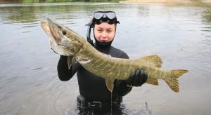 Подводная охота на крупную рыбу