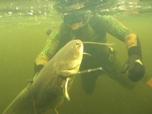 Приманки на щук