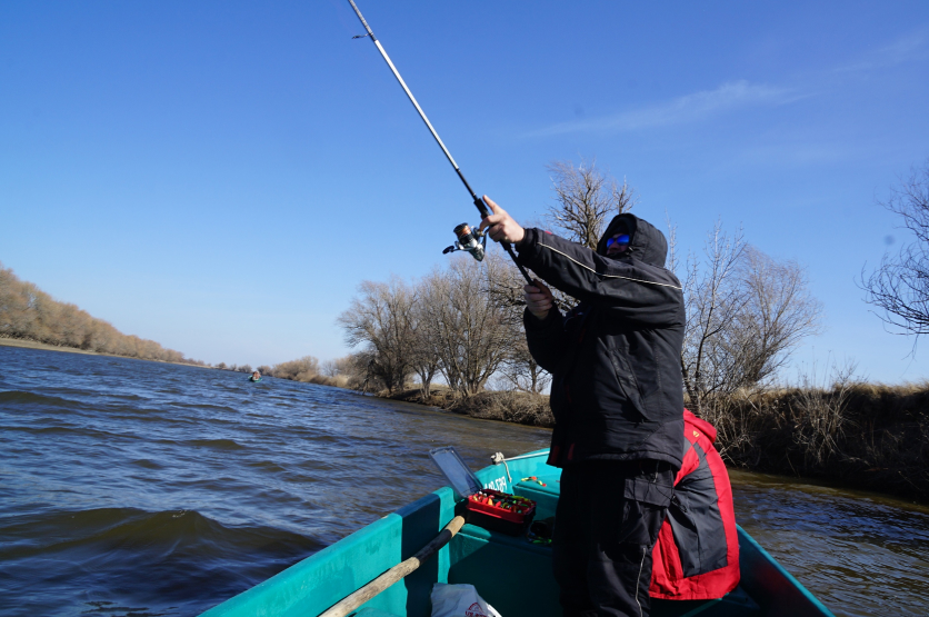 Мы вам поможем