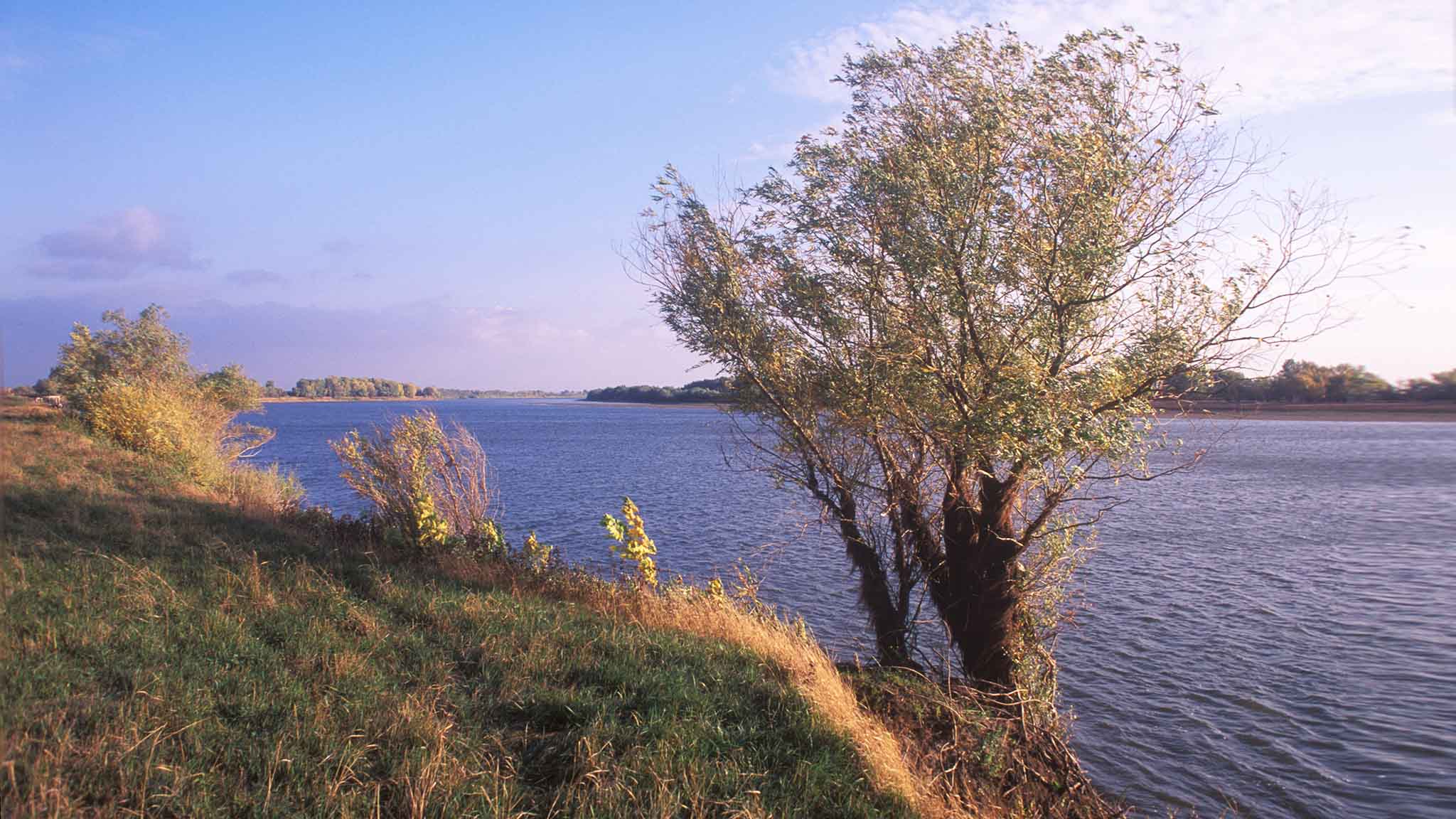 Лучшие места для рыбалки в Астрахани