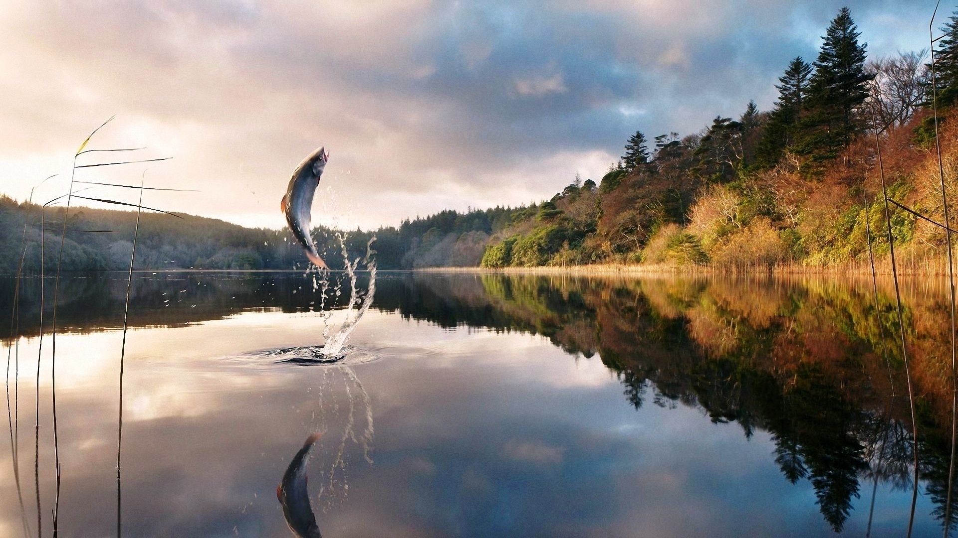 Отдых на воде: рыбалка в Астрахани на плавучей базе Флотраскат