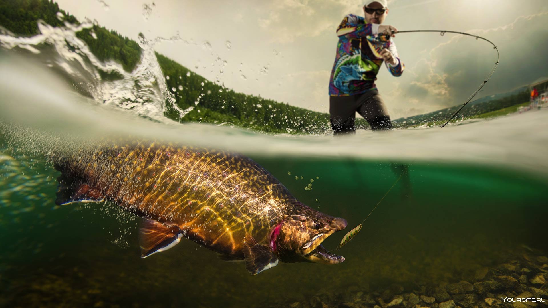 Ловля хищной рыбы в дельте на нижней Волге: общие правила и требования